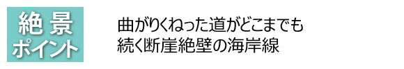 絶景ポイント 曲がりくねった道がどこまでも続く断崖絶壁の海岸線